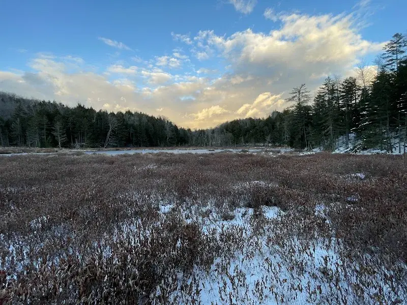 Deep Time VT in Worcester, VT