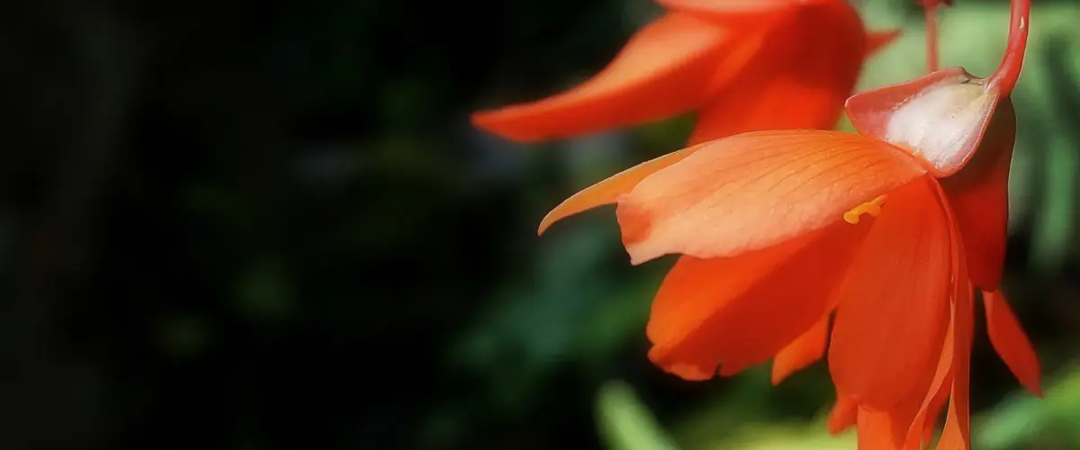 RE Wellness in Jackson, MS