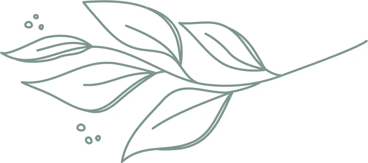 Recovery Oasis in St. Petersburg, FL