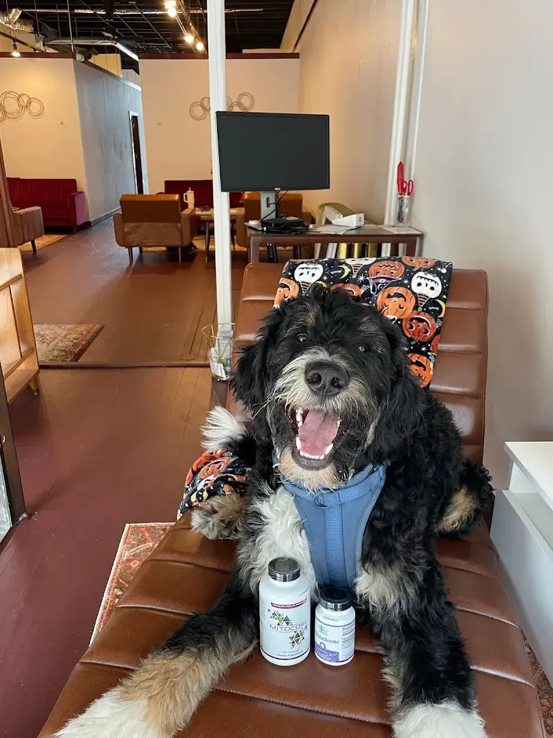 Revive Wellness in Oshkosh, WI