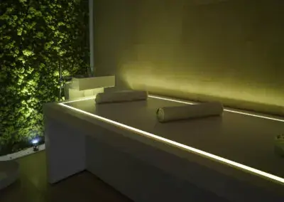 Augment Wellness in Helena, MT