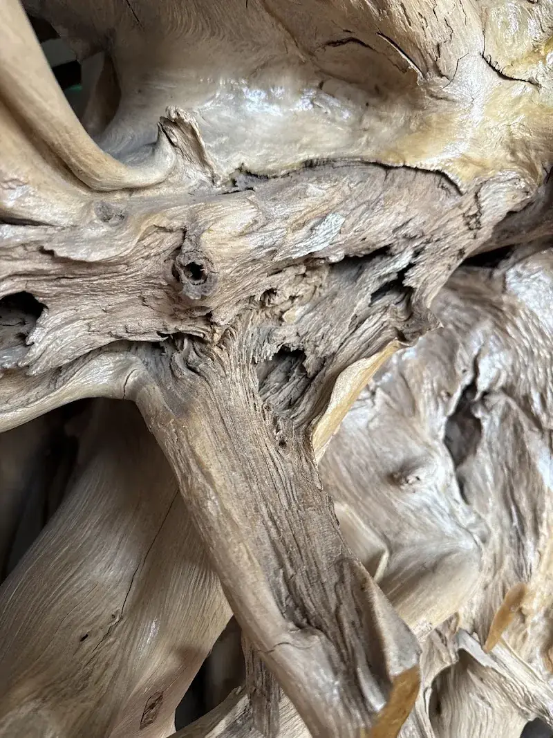 Boro Health & Wellness Spa …BHWS in Murfreesboro, TN