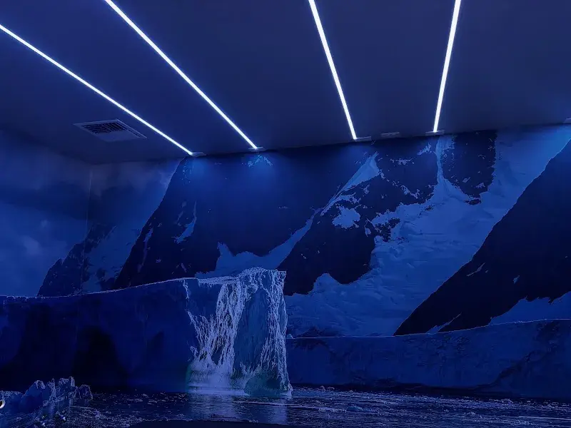 Elysian Institute in Bigfork, MT