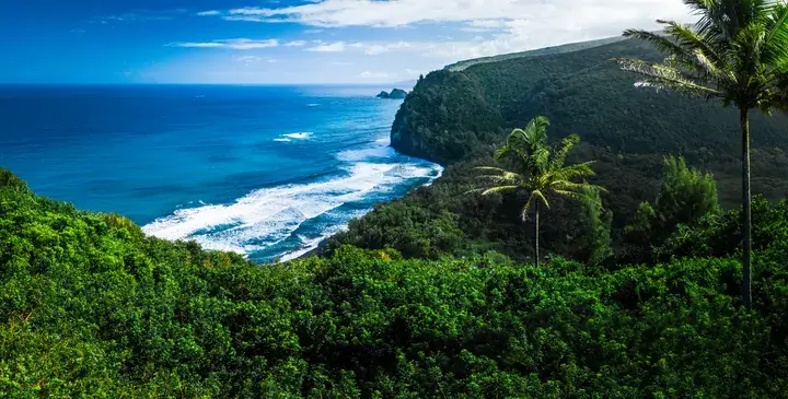 Hawaii Wellness Clinic in Honolulu, HI