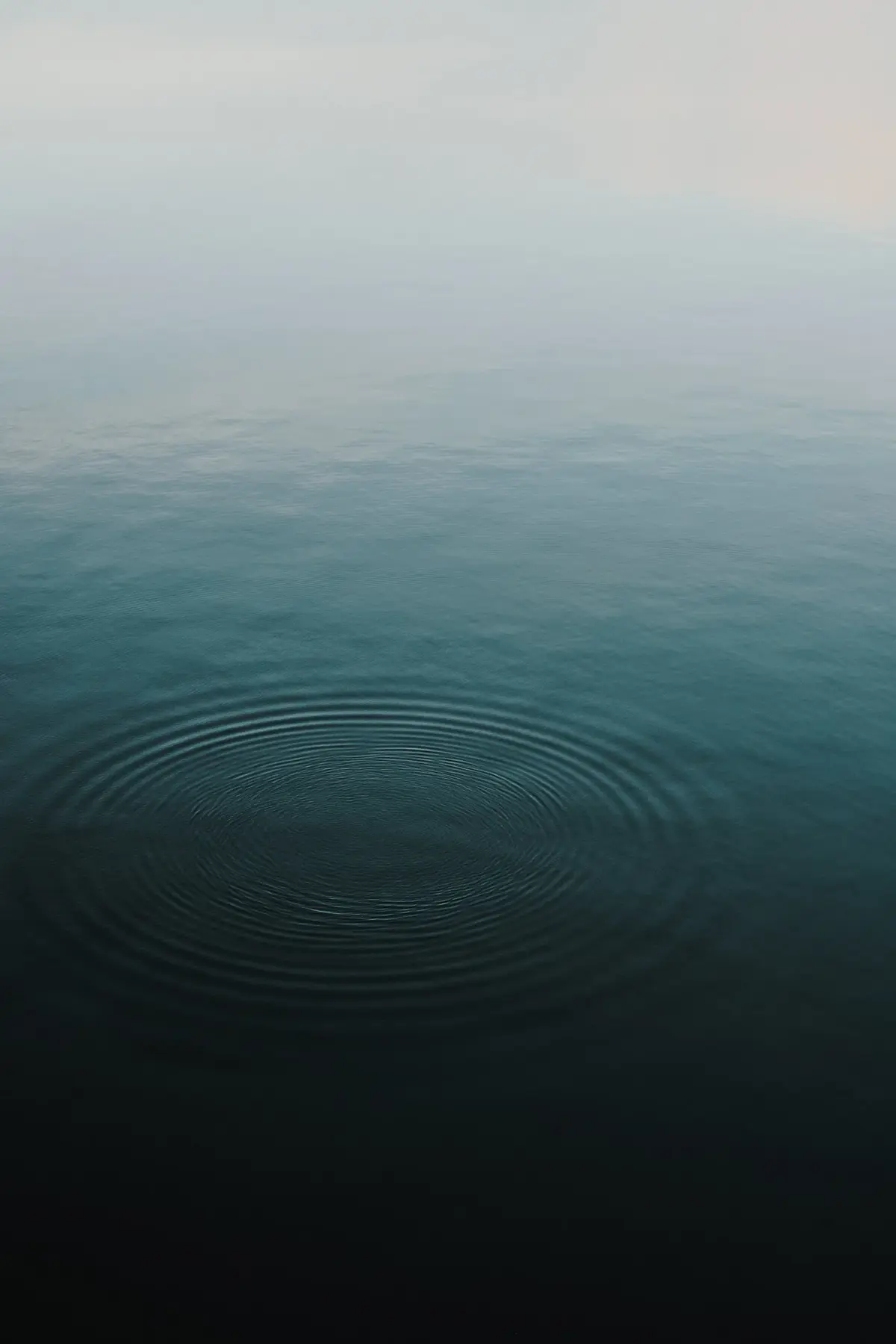 Lucidity Float and Wellness Center in Chattanooga, TN