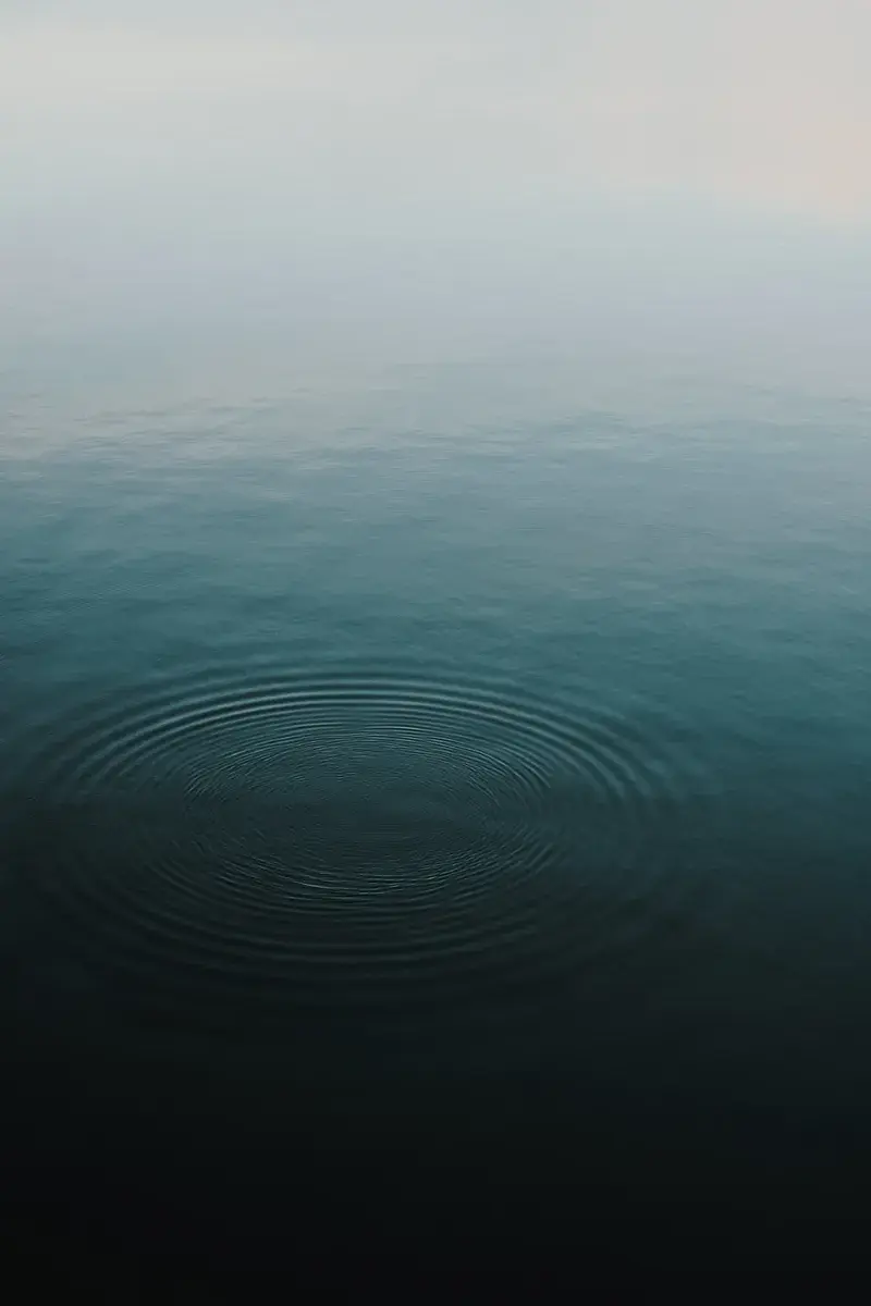 Lucidity Float and Wellness Center in Chattanooga, TN