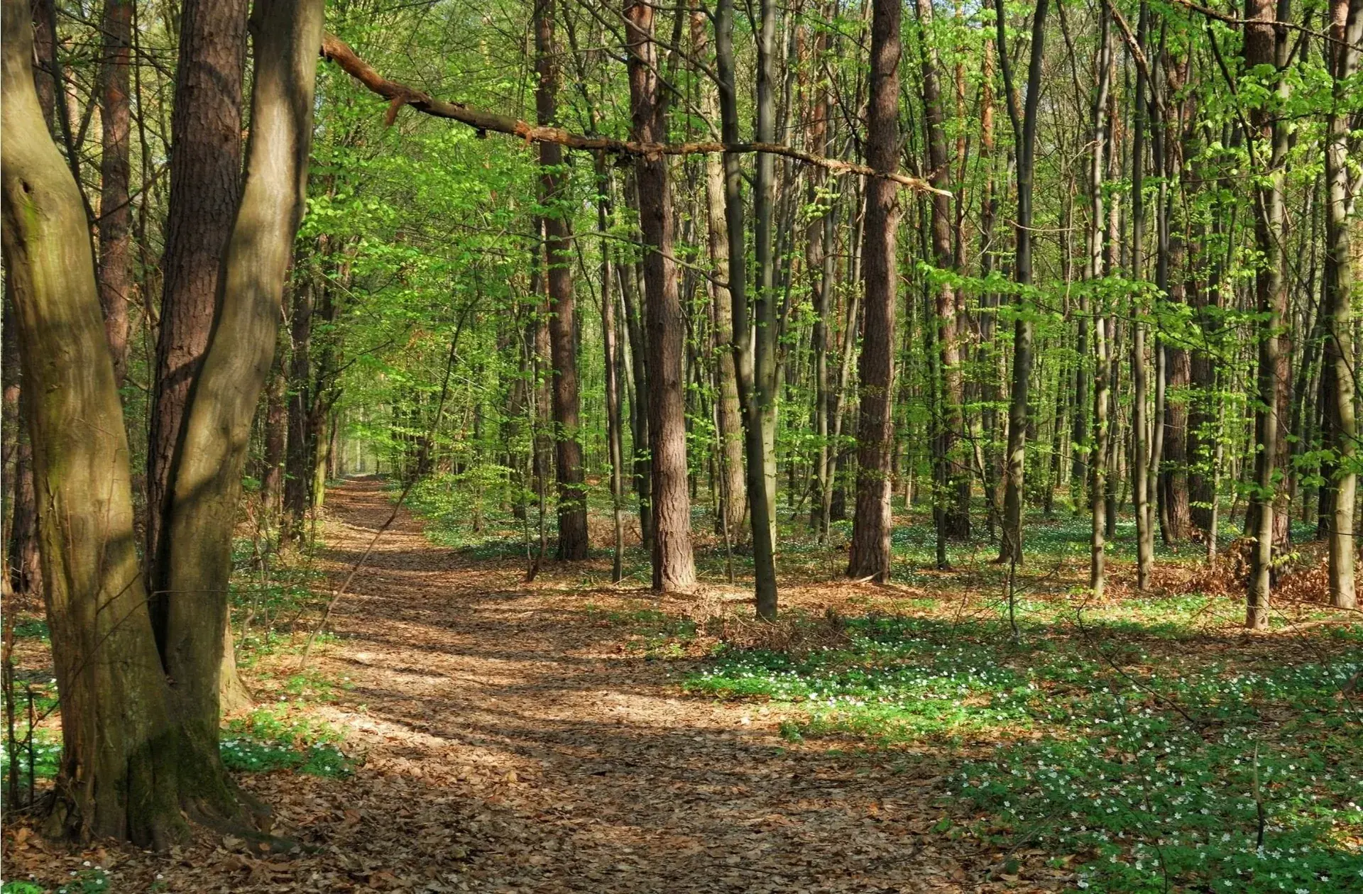Nurture Through Nature in Denmark, ME