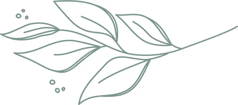 Recovery Oasis in St. Petersburg, FL