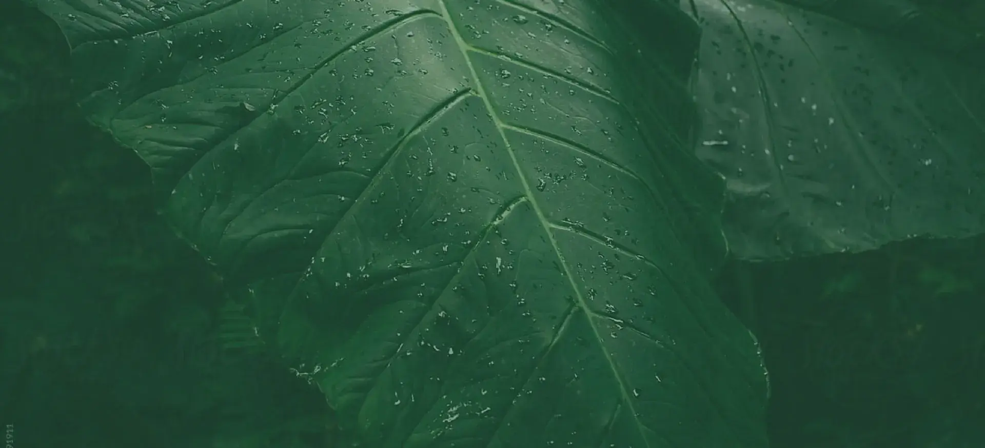 Spyre Center in New Orleans, LA