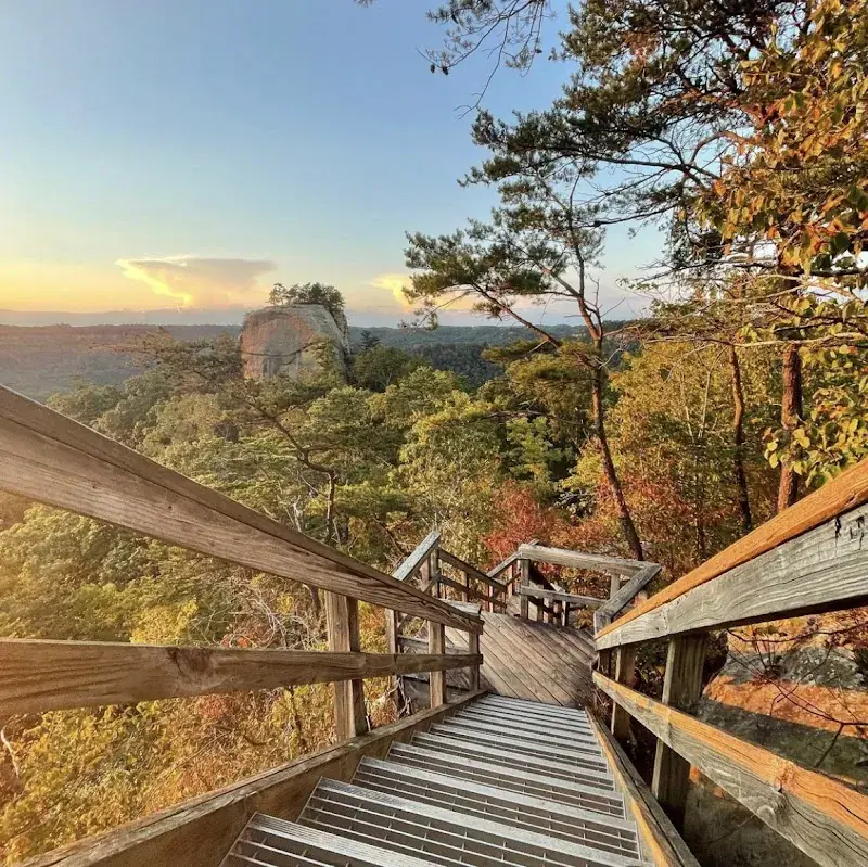The Hive at High Rock - Unique Stays, Massage, Acupuncture and Immersive Thermal Spa in Stanton, KY