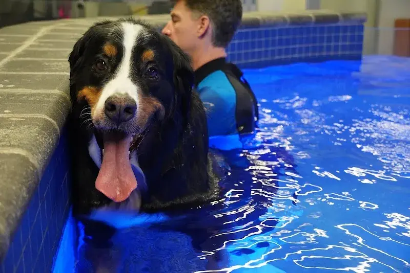 Water4Dogs Rehabilitation Center in New York, NY