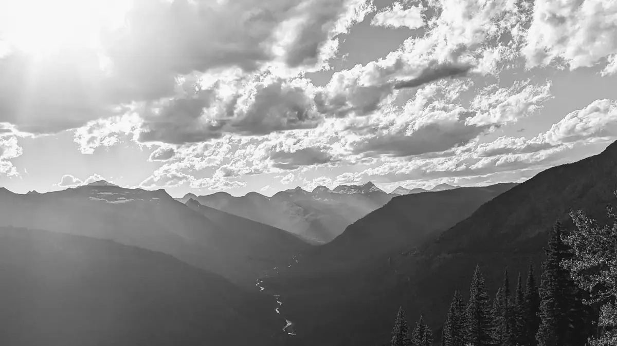 Whole Body Wellness Collective in Missoula, MT